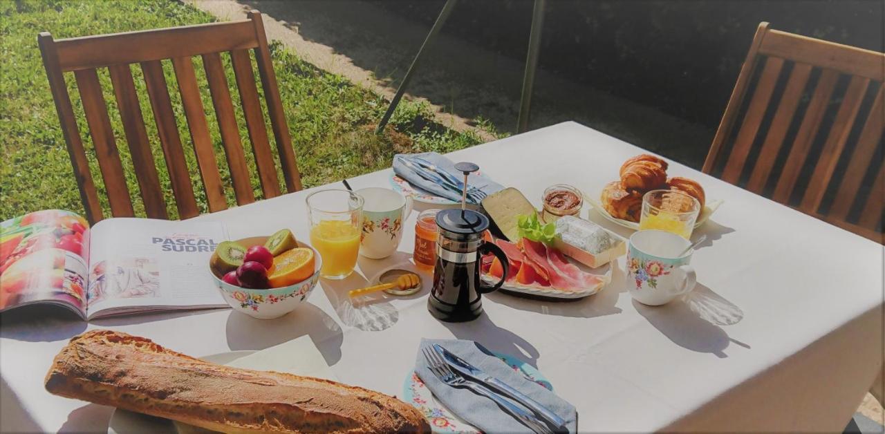 Bed and Breakfast Fleurs De Cosmos Albi Esterno foto