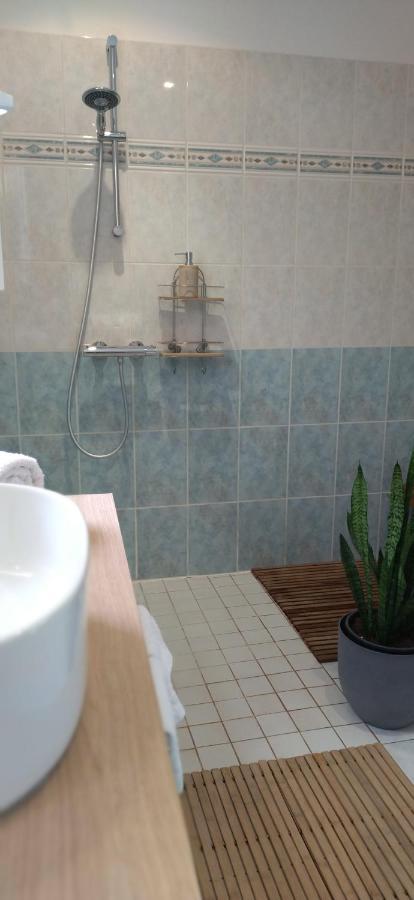 Bed and Breakfast Fleurs De Cosmos Albi Esterno foto